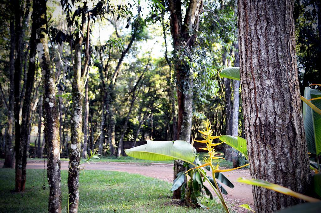 Cabanas Las Termas Villa Oberá Esterno foto